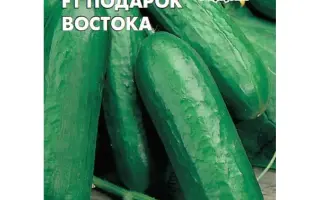 ПОДАРОК ВОСТОКА