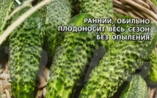 ТРИ СЕСТРИЦЫ