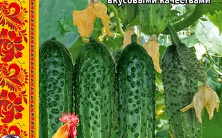 РАННЯЯ ПТАШКА