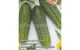 ПРИНЦ ДАТСКИЙ