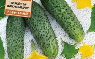 МУЛЬТИ-ПУЛЬТИ