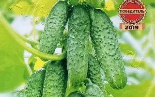 БАБУШКИН СЕКРЕТ