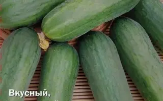 ХРУСТЯЩИЙ ЛОМТИК