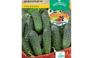 МАДАГАСКАР