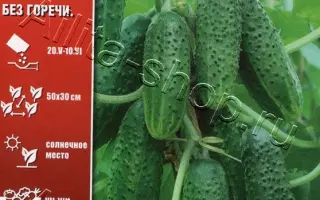 ТЁЩИН ДЕСЕРТ