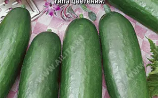 ДМИТРИЙ ДОНСКОЙ