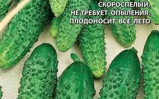 ХРУСТЯЩАЯ ГРЯДКА