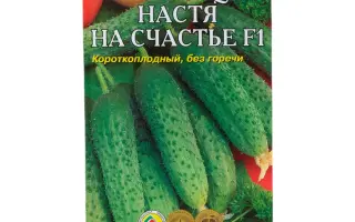 НАСТЯ НА СЧАСТЬЕ