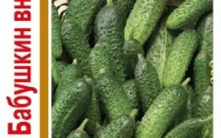 БАБУШКИН ВНУЧОК