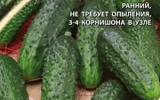 МАЛЫШОК-КРЕПЫШОК