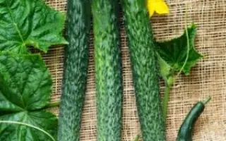 ПЕКИНСКИЙ ГУРМАН