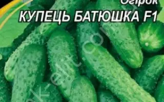 КУПЕЦ БАТЮШКА