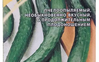 ЗЕЛЕНЫЙ ЗМЕЙ