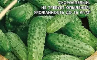 ВЕСЕЛЫЕ ДРУЗЬЯ
