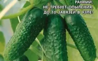 ИЗУМРУДНЫЕ СЕРЕЖКИ