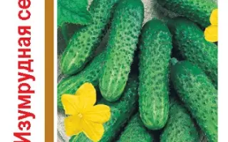 ИЗУМРУДНАЯ СЕМЕЙКА