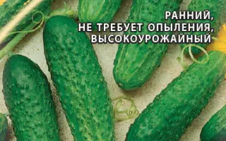 ПАПЕНЬКИНА ДОЧКА