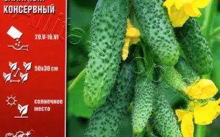 ДРУЗЬЯ-ПРИЯТЕЛИ