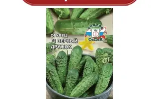 ВЕРНЫЙ ДРУЖОК