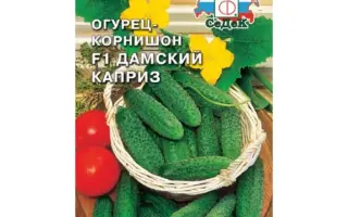 ДАМСКИЙ КАПРИЗ