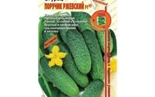 ПОРУЧИК РЖЕВСКИЙ