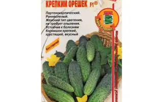 КРЕПКИЙ ОРЕШЕК