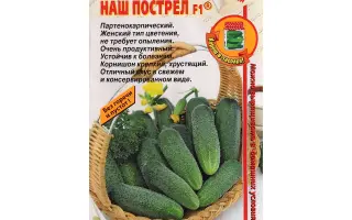 НАШ ПОСТРЕЛ