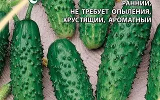 МАМЕНЬКИН СЫНОК