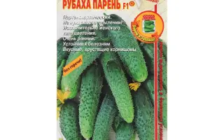 РУБАХА-ПАРЕНЬ