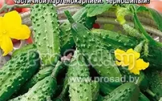 УСАТЫЙ НЯНЬ