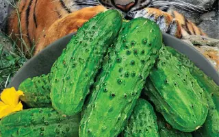 УССУРИЙСКИЙ 3