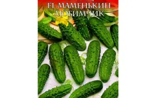 МАМЕНЬКИН ЛЮБИМЧИК