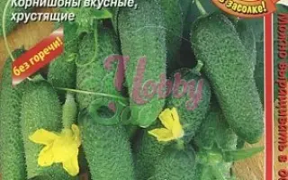 МЕТР С КЕПКОЙ