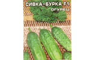 СИВКА-БУРКА