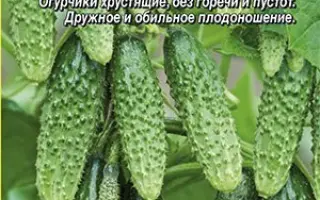 ХРУСТЯЩИЙ ПОГРЕБОК