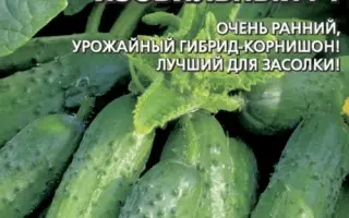 ИЗОБИЛЬНЫЙ