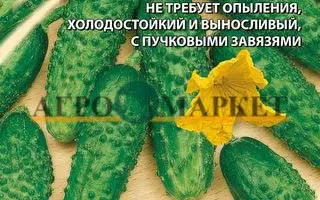 ДУБРОВСКИЙ