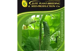 ТАРАКАНОВСКИЙ