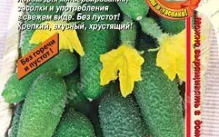 ДЕТСКИЙ САД