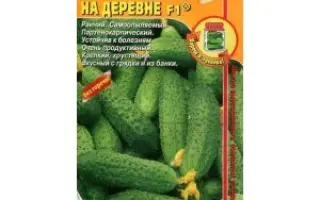 ПЕРВЫЙ ПАРЕНЬ