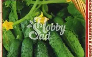 СЕМЕН СЕМЕНЫЧ