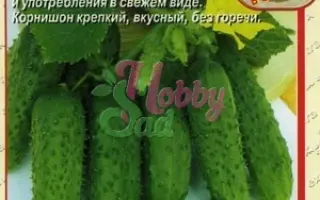 ГЕОРГИЙ ПОБЕДОНОСЕЦ