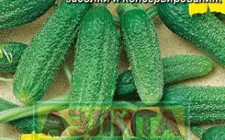 СТАХАНОВЕЦ