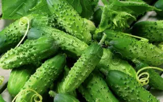 МУЖИЧОК С НОГОТОК