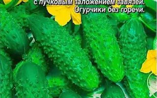 КОНЕК-ГОРБУНОК