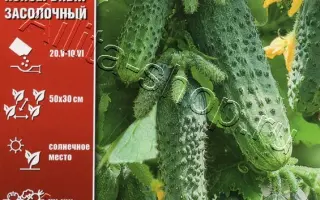 МЕЧТА ДАЧНИКА