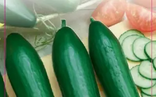 СЛАДКАЯ ЖЕНЩИНА