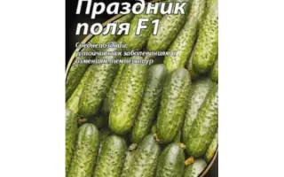 ПРАЗДНИК ПОЛЯ