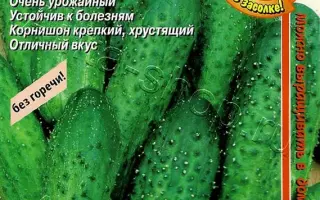 ВЕСЕЛЫЕ РЕБЯТА