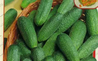 ДЮЙМОВОЧКА